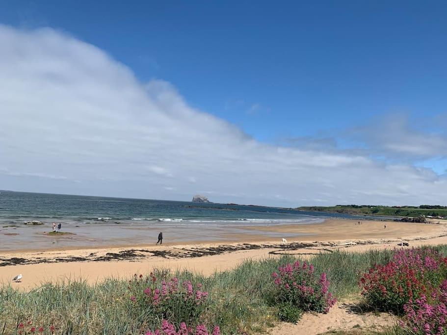 Next To The - North Berwick
