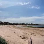 The Gulls