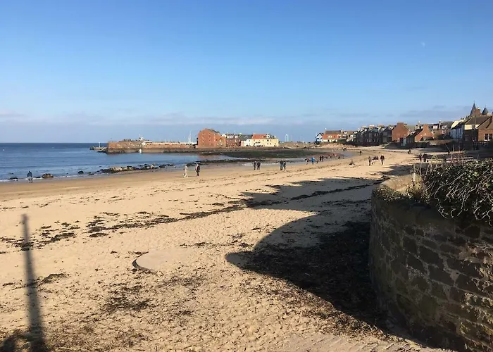 Harbour View