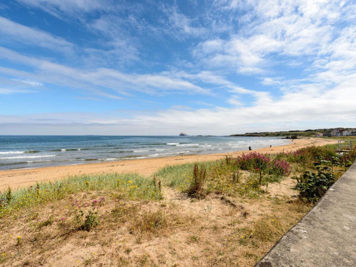 Driftwood * North Berwick
