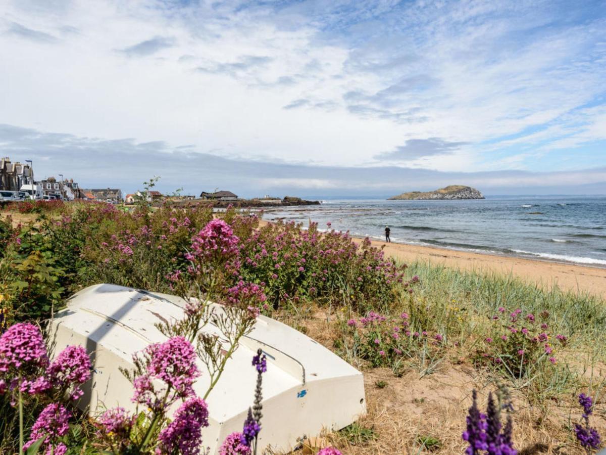 Driftwood * North Berwick