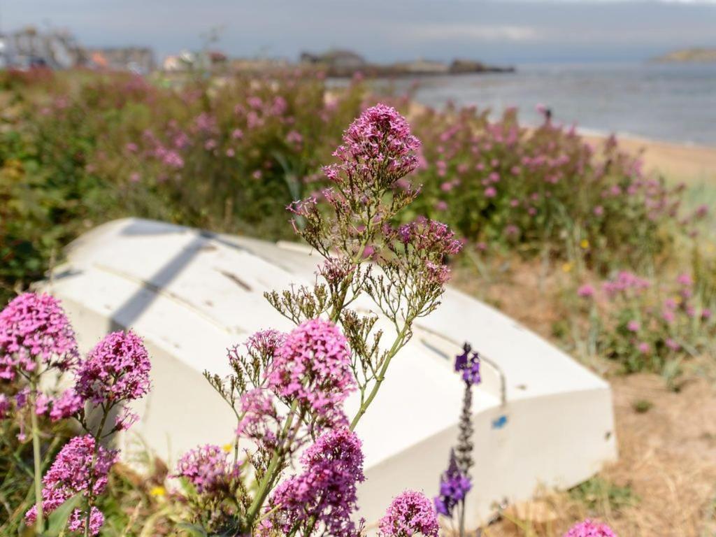 Driftwood Holiday home North Berwick