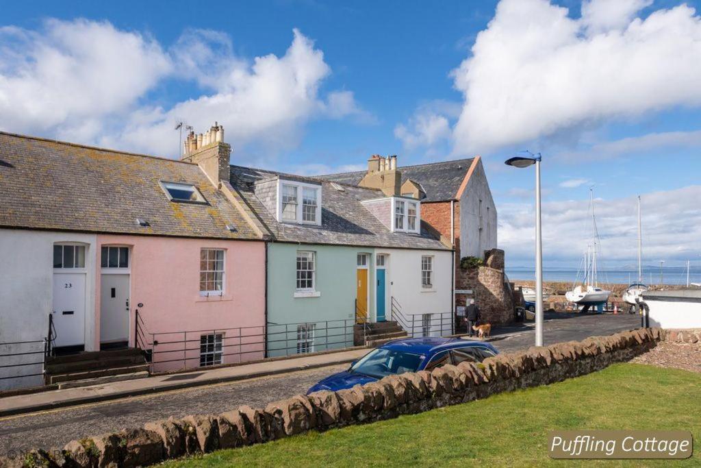 Puffling * North Berwick