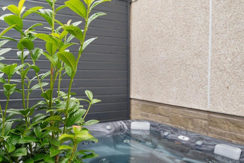 Luxury House With A Hot Tub Book On Air Bee And Bee * North Berwick